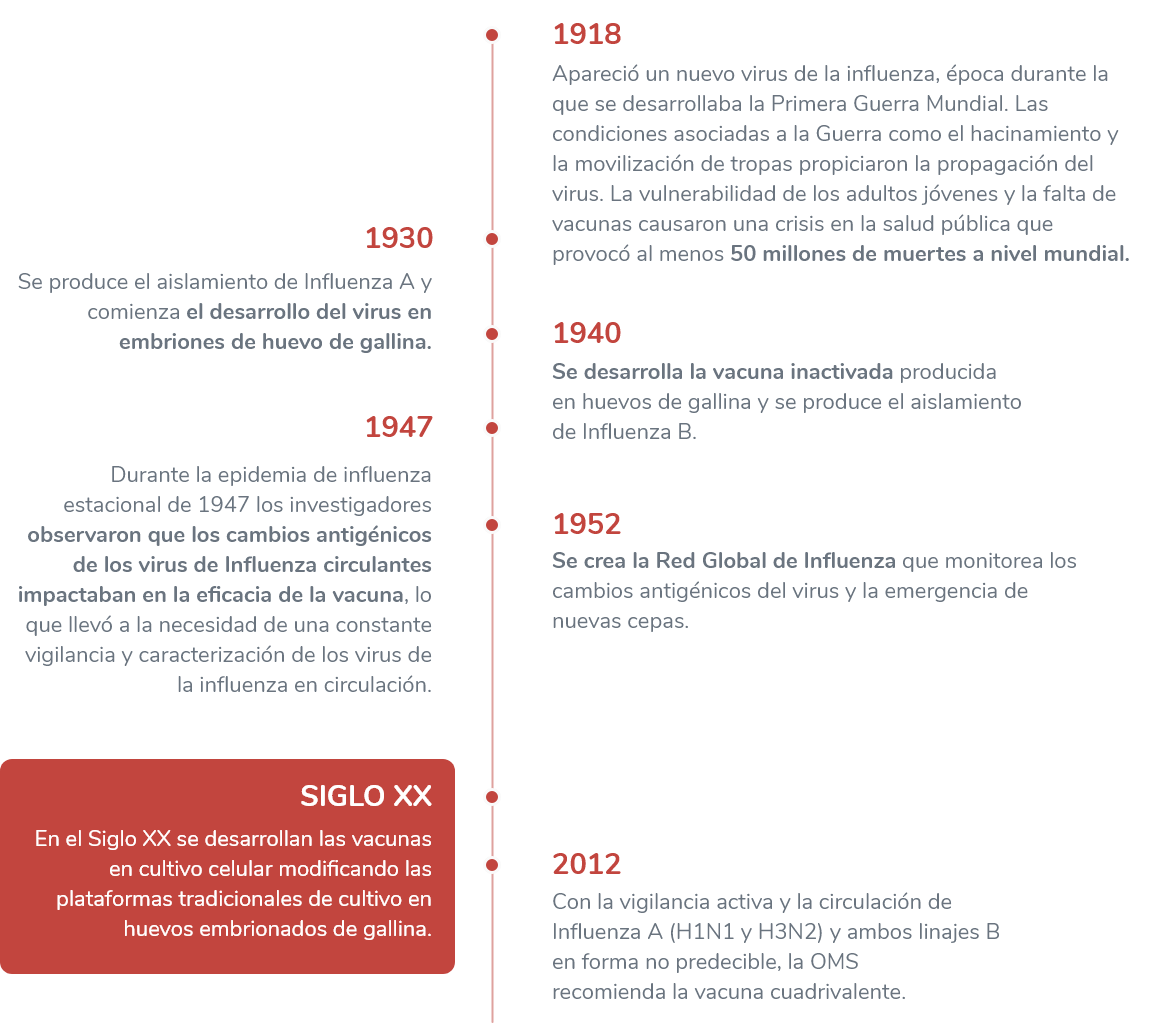 Pandemias de Gripe - Tuplanantigripe.com.ar